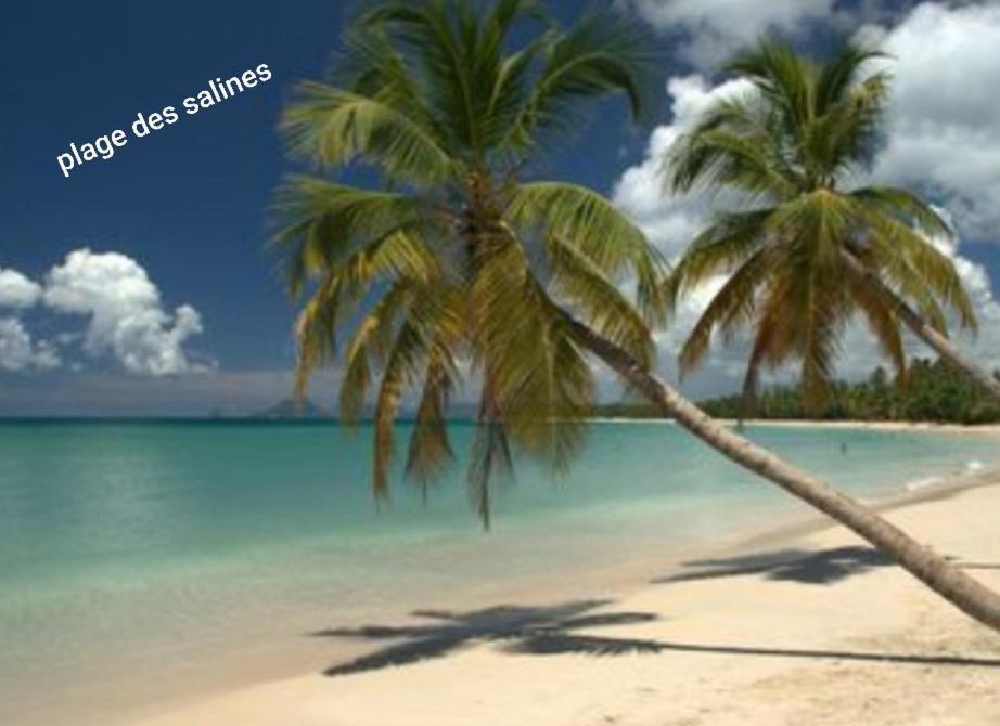Appartement T2 Route Des Salines Sainte-Anne Bagian luar foto
